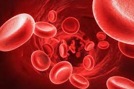 Normocytic Anemia: ICD-10 Classification and Diagnosis"
